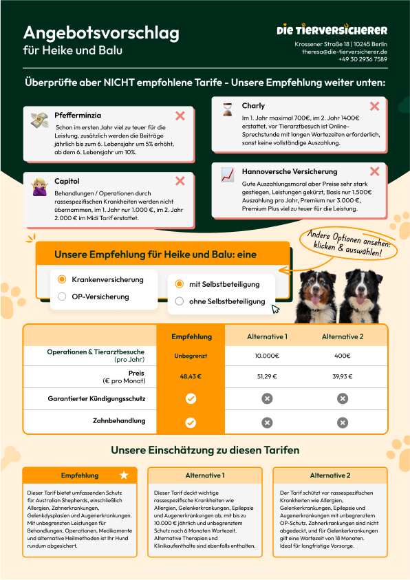 Individueller Angebotsvorschlag