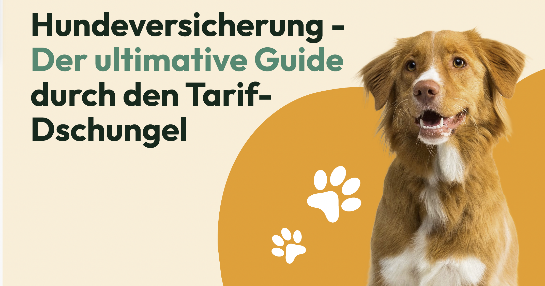 Hundeversicherung – der ultimative Guide